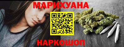 крисы Пенза