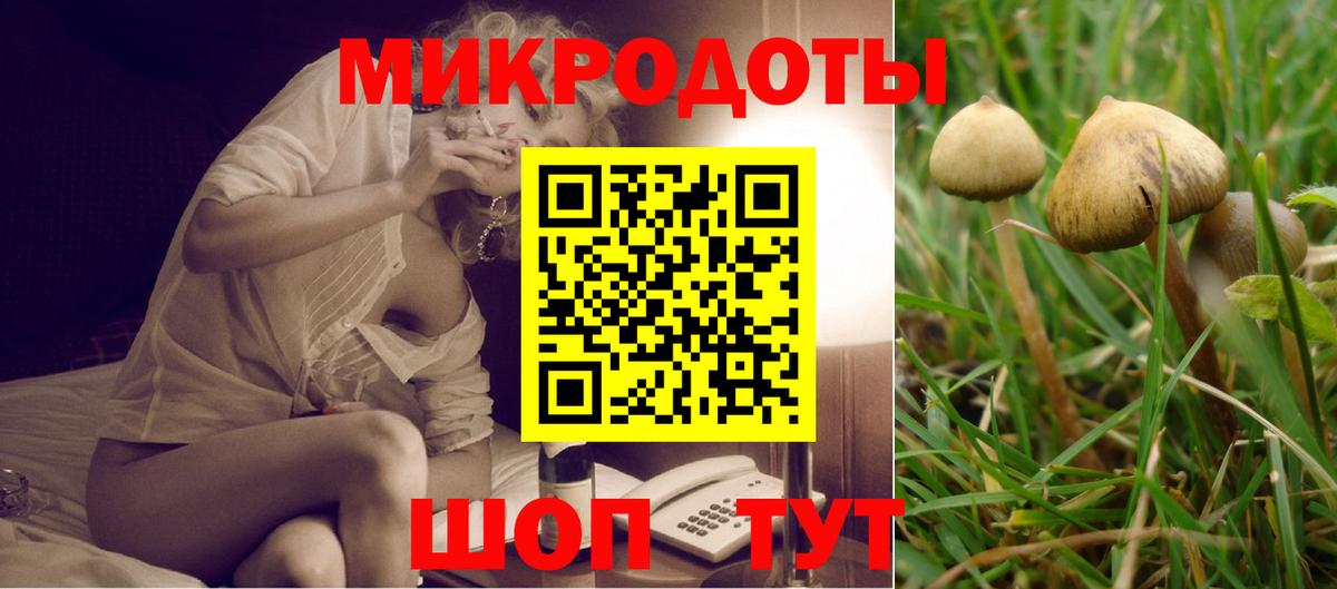 Галлюциногенные грибы мухоморы Сертолово